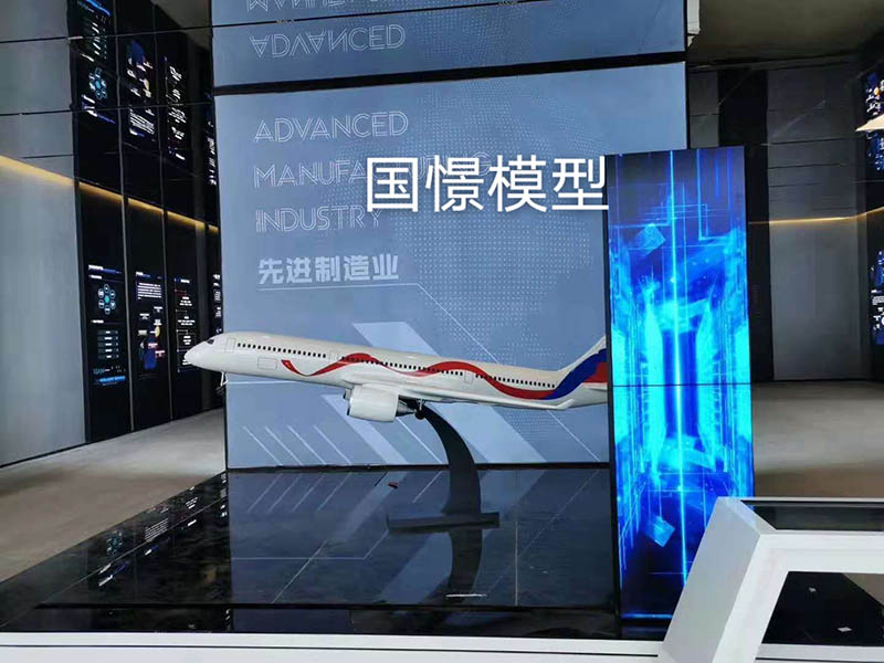 乐平县飞机模型